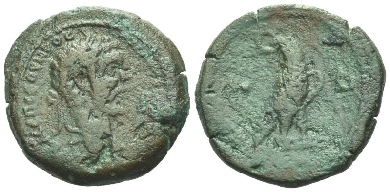 Egypt, Alexandria. Dattari. Septimius Severus, 193-211 Diobol circa 195-196 (yea...