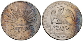 Mexico. 8 reales. 1894. Zacatecas. FZ. (Km-377.13). Ag. 27,03 g. Chop marks. Cleaned. Choice VF. Est...50,00. 

Spanish Description: México. 8 reale...