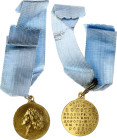Russia  Battle of Poltava Commemorative Medal 1909