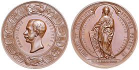 FRANZ JOSEPH I (1848 - 1916)&nbsp;
On the Occasion of the Convening of the New Imperial Council in Vienna, 1861, 43,53g, 46 mm, W. Seidan, Haus 810, ...