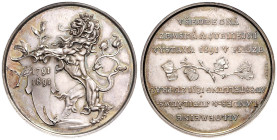 FRANZ JOSEPH I (1848 - 1916)&nbsp;
General Land Centennial Exhibition, 1891, 38,51g, 44 mm, Ag 900/1000, R. Braun, J. Christelbauer, Haus 3700, 44 mm...