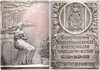 FRANZ JOSEPH I (1848 - 1916)&nbsp;
Silver Plaque II. Place Award - Competition of the Shop Windows in Pilsen, 1913, 48,05g, 43 x 60 mm, Ag, F. Mandl,...
