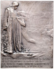 FRANZ JOSEPH I (1848 - 1916)&nbsp;
AE plaque Praha, Vltava ("Libussa Prophecy"), b. l. (1902), 112g, 57 x 72 mm, jednostranná, S. Sucharda, 57 x 72 m...