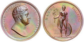 FRANCIS II / I (1792 - 1806 - 1835)&nbsp;
AE medal Karl Philipp Schwarzenberg (1771 - 1820), b. l. (1814) , 54,7g, 49 mm, L. Pichler, 49 mm, L. Pichl...