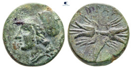 Sicily. Syracuse. Agathokles 317-289 BC. Bronze Æ