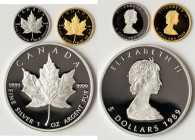 Elizabeth II 3-Piece gold, platinum & silver "10th Anniversary Maple Leaf" Proof Set 1989 UNC, 1) gold 5 Dollars - KM135. AGW 0.1 oz 2) platinum 5 Dol...