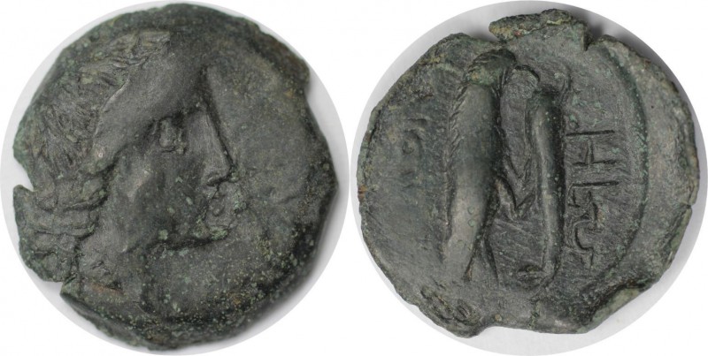 Griechische Münzen, BOSPORUS. Olbia. Bronze (3.27 g. 19 mm) 260 - 250 v. Chr, eh...