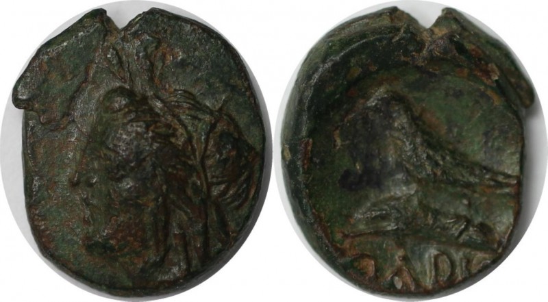 Griechische Münzen, BOSPORUS. Olbia. Bronze (1.99 g. 13.5 mm) 260 - 250 v. Chr, ...