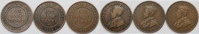 Weltmünzen und Medaillen, Australien / Australia, Lots und Sammlungen. George V. 3 x 1/2 Penny 1911-1916. Bronze. KM 22. Lot von 3 Münzen. Sehr schön-...