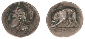 Italy - Lucania - Velia - AR Didrachm (c. 334-300 BC, 6.49 g) - Head of Athena left, wearing crested Phrygian helmet, monogram behind neck / Lion stan...