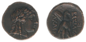 The Seleukid Kingdom - Achaios (220-214 BC) - AE19 (Sardes, 5.13 g) - Laureate head of Apollo right / Eagle standing right, palm frond over shoulder (...