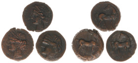 Ancient coins in lots - Greek / Hellenistic coinage - Small lot with AE bronzes of North Africa / Carthage: obv. Tanit, rev. Horse standing right, loo...