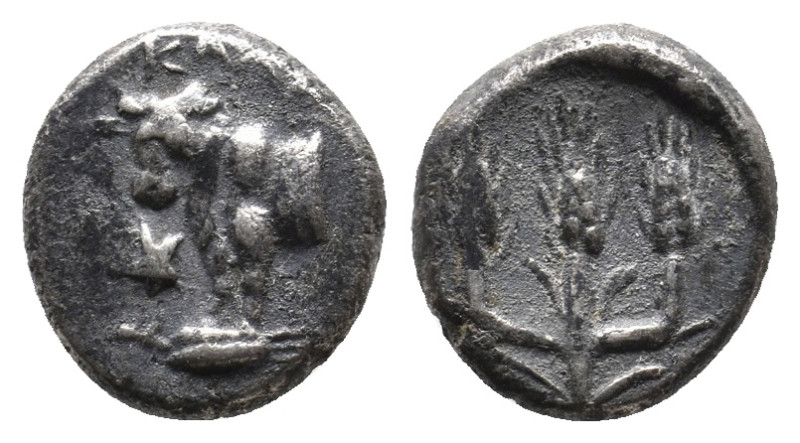 BITHYNIA, Kalchedon. (Circa 367/6-340 BC). AR Hemidrachm. 1.86g 11.1m