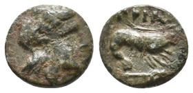 MYSIA. Priapos. (Circa 300-200 BC). AE. 1.39g 12.1m