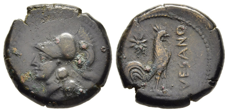 CAMPANIA. Cales. AE (circa 265-240 BC).

Obv: Helmeted head of Athena left.
Rev:...