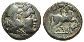 KINGS OF MACEDON. Antigonos II Gonatas (277/6-239 BC). AE Unit. Pella mint. 

Obv: Head of Herakles right, wearing lion skin.
Rev: B-A; youth on horse...