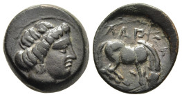 Thessaly. Larissa (mid 4th century BC). AE.

Head of Larissa right, hair bound and rolled.
Horse grazing right; ΛΑΡΙΣΑΙΩΝ above and below. 

BCD Thess...