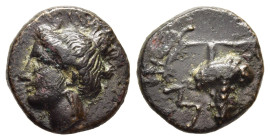 THESSALY. Meliboia. AE Chalkous (Mid-late 4th century BC).

Obv: Head of nymph left.
Rev: MEΛΙ.
Bunch of grapes on vine.

BCD Thessaly II, 454.

Condi...