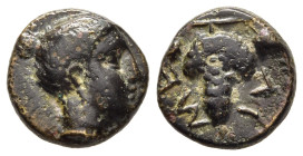 THESSALY. Meliboia. Chalkous (Mid-late 4th century BC).

Obv: Head of nymph right.
Rev: MEΛΙ.
Bunch of grapes on vine.

BCD Thessaly II 455.6.

Condit...