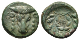 PHOKIS. Federal Coinage. Time of Phalaikos (ca. 351-347 BC). AE.

Obv: Filleted head of bull facing.
Rev: ΦΩ within wreath.

BCD Lokris 343-344; HGC 4...