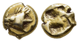 MYSIA. Kyzikos. Electrum 1/12 Stater (circa 600-500 BC).

Obv: Head of tunny left, holding in its mouth a small tunny upward.
Rev: Incuse punch.

Cf. ...