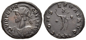 PROBUS (276-282). Antoninianus. Ticinum.

Obv: VIRTVS PROBI AVG.
Radiate,helmeted and cuirasssed bust left, holding shield and spear; large star on sh...