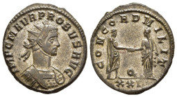 PROBUS (276-282). Antoninianus. Siscia.

Obv: IMP C M AVR PROBVS AVG.
Radiate and cuirassed bust right.
Rev: CONCORD MILIT / Q // XXI.
Probus and Conc...