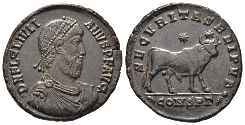 JULIAN II THE PHILOSOPHER (361-363). Double Maiorina. Constantinople.

Obv: D N ...