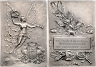 Jugendstil. 
Versilberte Bronzeplakette o.J. (v. Delpech) Prämie des Musikwettbewerbes in Besancon, i.Rd: viereckige Punze u. DOUBL\'c9. 41,3x58,6mm,...