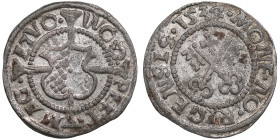 Riga Schilling 1534 - Wolter von Plettenberg (1494-1535)
0.97g. XF/XF. Some luster. Haljak 268b R. Rare! The Livonian Order.