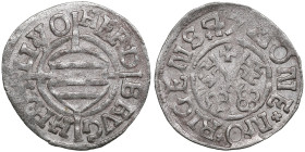 Riga Schilling 1547 - Hermann von Brüggenei-Hasenkamp (1535-1549)
1.12g. XF/XF. Haljak 316. The Livonian Order.