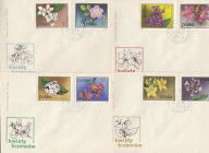 Poland, Envelopes - Flowers (20)
Unused. Sold as seen, no return. Please check photos on our website for details. 