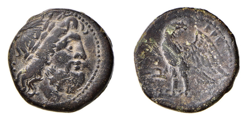 BRUTTIUM - BRETTII (Circa 214-211a.C.) DRACMA gr.8,9 - D/Testa laureata di Zeus ...