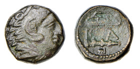 MACEDONIA - Zecca incerta - ALESSANDRO III (336-323 a.C.) AE 16 -D/Testa di Alessandro con pelle leonina a d. R/Clava, arco faretra con al centro B A ...