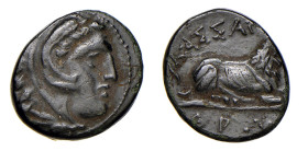 MACEDONIA - Zecca incerta - KASSANDER (319-297 a.C.) AE 16 -D/Testa di Ercole con copricapo in pelle leonina a d. R/Leone accovacciato a d. KAΣΣANΔPOY...