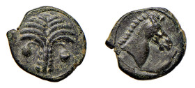 ZEUGITANIA - CARTAGINE (300-364 a.C.) BRONZO - D/Protome equina a d. R/ Palma con frutti -Ae - Sng.Cop. 351 qSPL