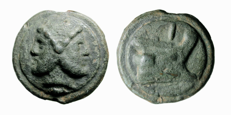 LATIUM - ROMA (circa 225-217 a.C.) SERIE GIANO / PRORA A DESTRA - ASSE gr.288 - ...