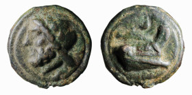 LATIUM - ROMA (circa 225-217 a.C.) SERIE GIANO / PRORA A DESTRA - SEMISSE gr.122 - D/Testa di laureata di Saturno a s. con sotto il simbolo del valore...