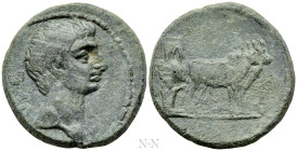 MACEDON. Uncertain (Philippi?). Augustus (27 BC-14 AD). Ae