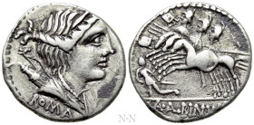 A. ALBINUS S. F. Denarius (96 BC). Rome
