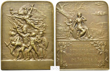 FRANCE. Bronze Plaque. Union des sociétés de préparation militaire de France. Ae emblem (No date). H. Dubois, medalist