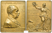 GERMANY. Hermann von Helmholtz, physician (1821-1896). Bronze Plaque (1894). 66th meeting of German natural scientists and physicians in Vienna. By J....