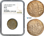 Bosnia, Stefan Tvrtko II, Gros ND (1404-43) Silver (1.71g) Jovanovic 60.1, Old toning! NGC AU55