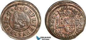 Spain, Felipe IV, 16 Maravedis 1662, Madrid Mint, Copper, KM# 172, Lustrous, VF-EF