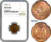United States, Indian Head 1 Cent 1875, Philadelphia Mint, KM# 90a, NGC MS65RB