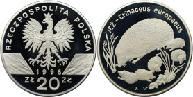 Europäische Münzen und Medaillen, Polen / Poland. Braunbrustigel. 20 Zlotych 1996. 31,10 g. 0.925 Silber. 0.92 OZ. KM Y# 312. Polierte Platte