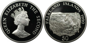 Weltmünzen und Medaillen, Falklandinseln / Falkland islands. Kinderfonds. 50 Pence 1990. 28,28 g. 0.925 Silber. 0.84 OZ. KM 26a. Polierte Platte