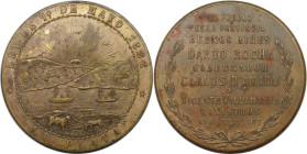Medaillen und Jetons, Medaillen und Jetons alle Welt. ARGENTINIEN. Buenos Aires. Bronzemedaille 1882. "La Plata". 31,16 g. 40,0 mm. Sehr schön-vorzügl...