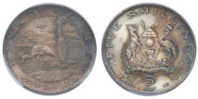 Ouganda, République (1962-présent), 5 shillings Paul VI, 1969, AG 10 g.
Réf: 	KM# 9
Conservation: PCGS PR66DCAM