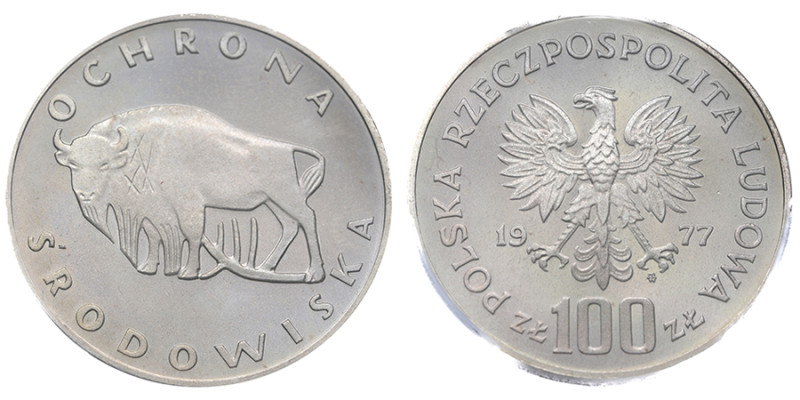 Pologne, 	République populaire (1952-1989), 100 zlotych Bison, 1977-MW, AG 16,5 ...
